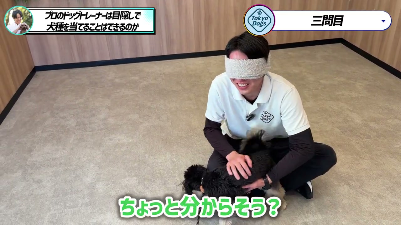 松尾邑仁が黒い巻き毛の犬の特徴を少しずつ捉える場面