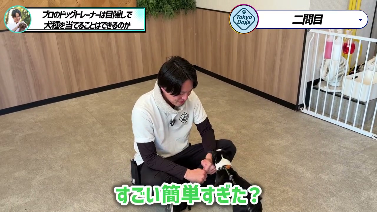 松尾邑仁が黒白の犬へ触れ、犬種当てが簡単すぎたかを考える場面