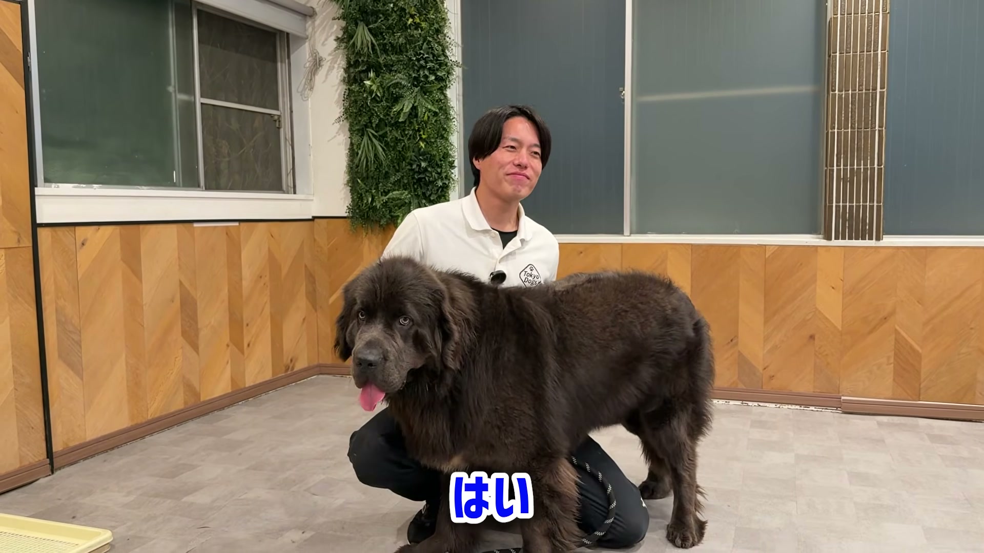 大型犬と並んで散歩の安全を説明する松尾邑仁