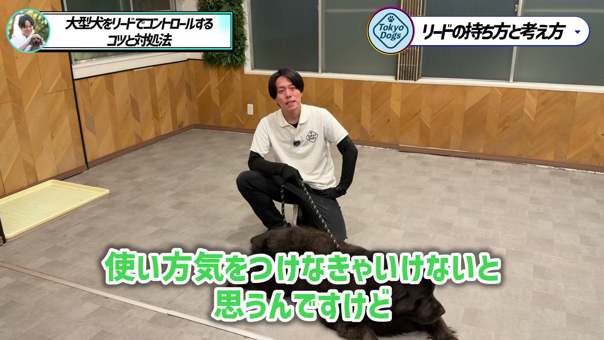 大型犬のリードを手に道具の使い方へ注意を促す松尾邑仁