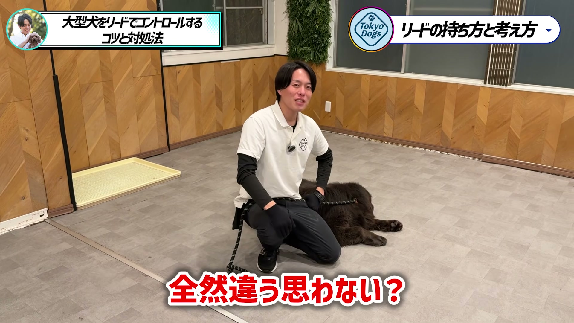 大型犬のそばで腰を落とした安定姿勢を示す松尾邑仁
