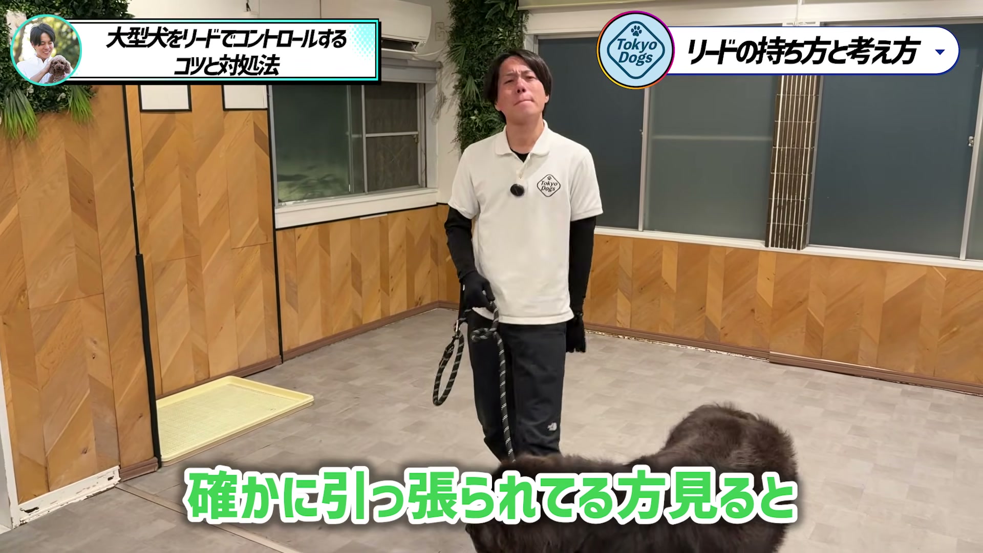 大型犬のリードを体の近くで持ち姿勢を説明する松尾邑仁