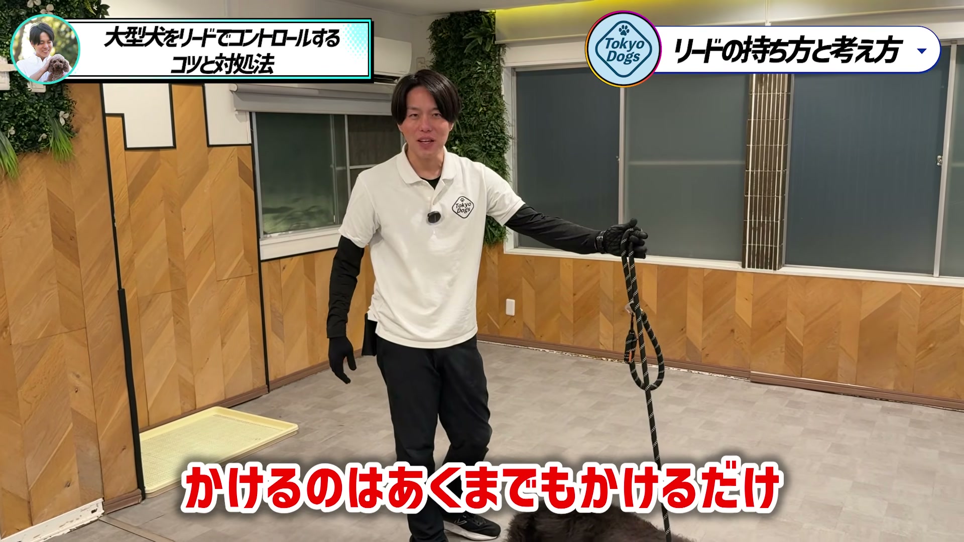 大型犬のリードの輪を手に掛けて長さを調整する場面