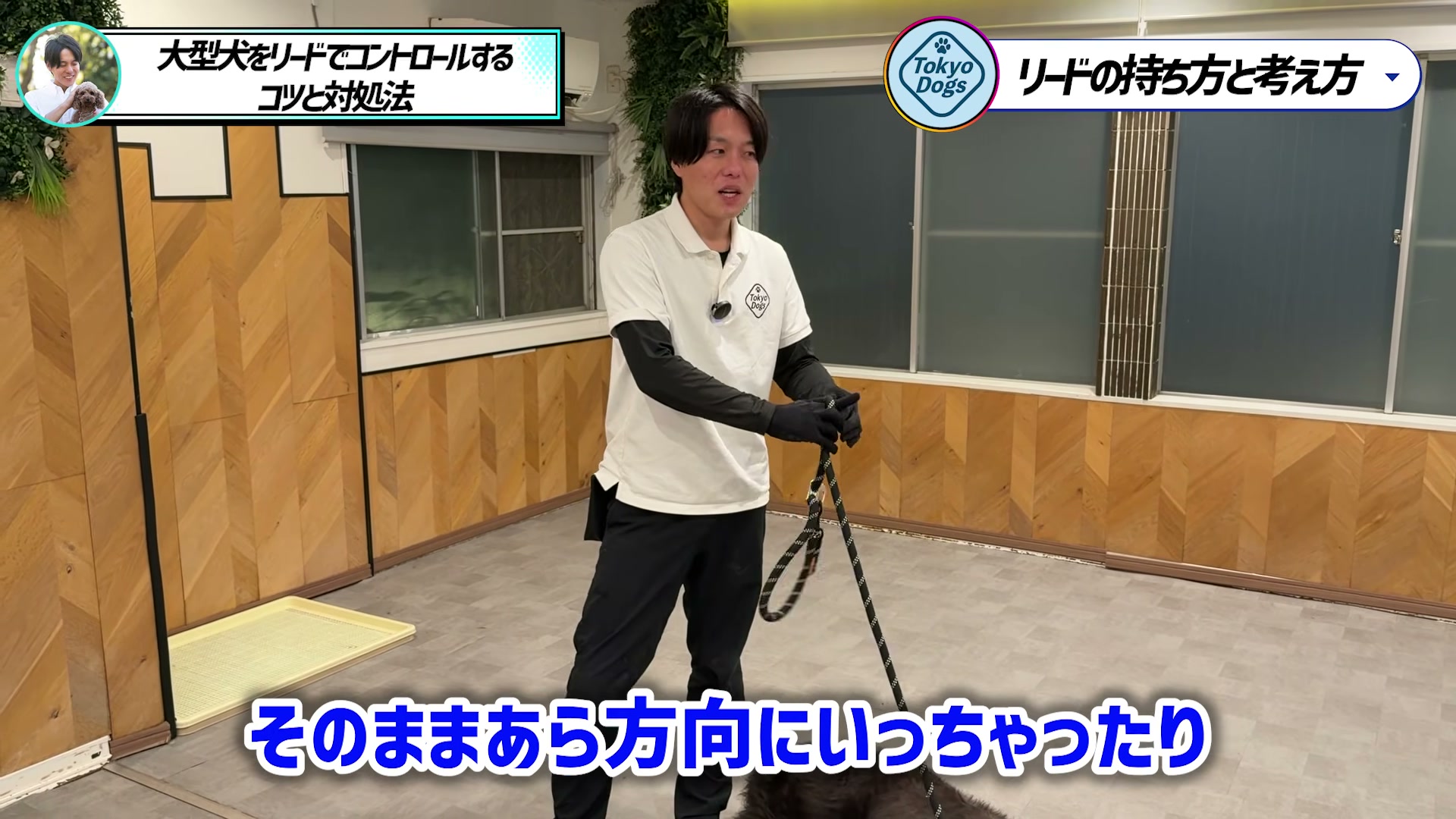 大型犬に引かれる方向へ体が崩れる動きを実演する松尾邑仁