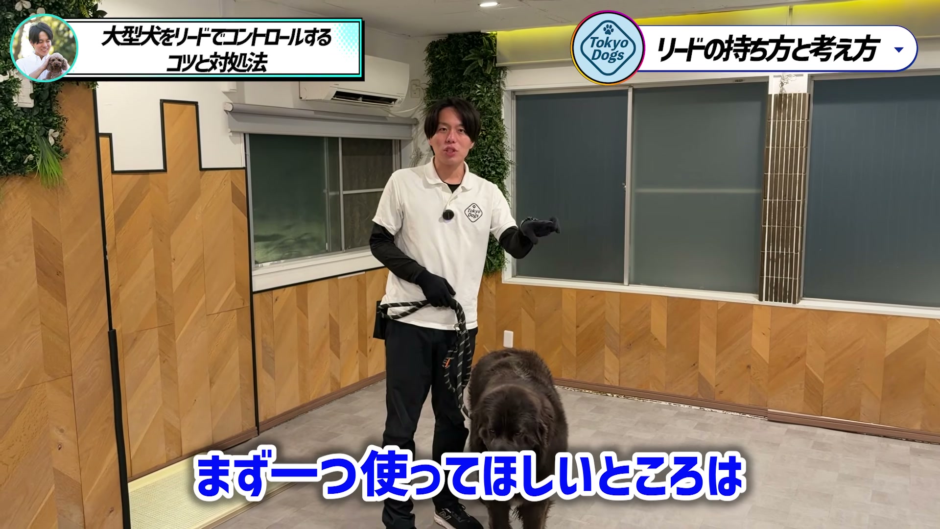 大型犬のリード操作で最初に意識する点を説明する松尾邑仁
