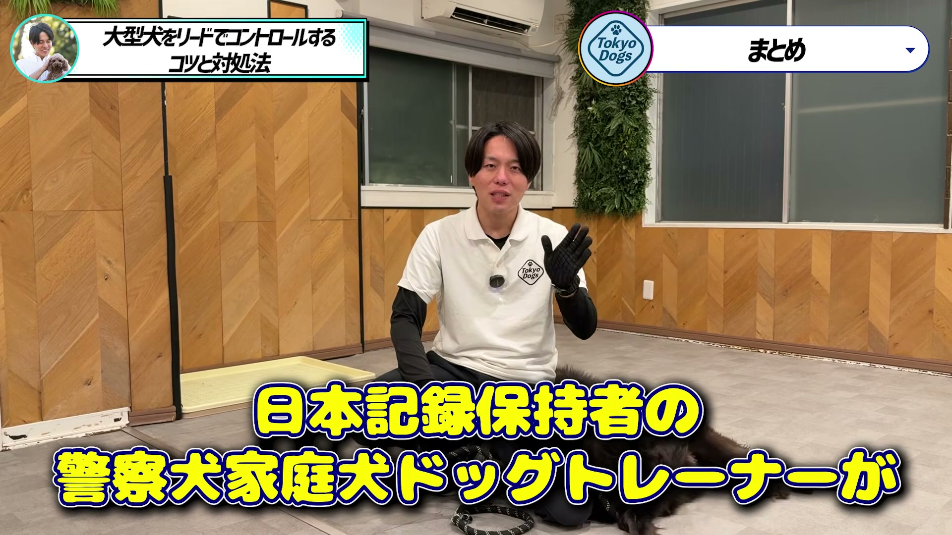 大型犬のそばで家庭で行うリード練習を説明する松尾邑仁