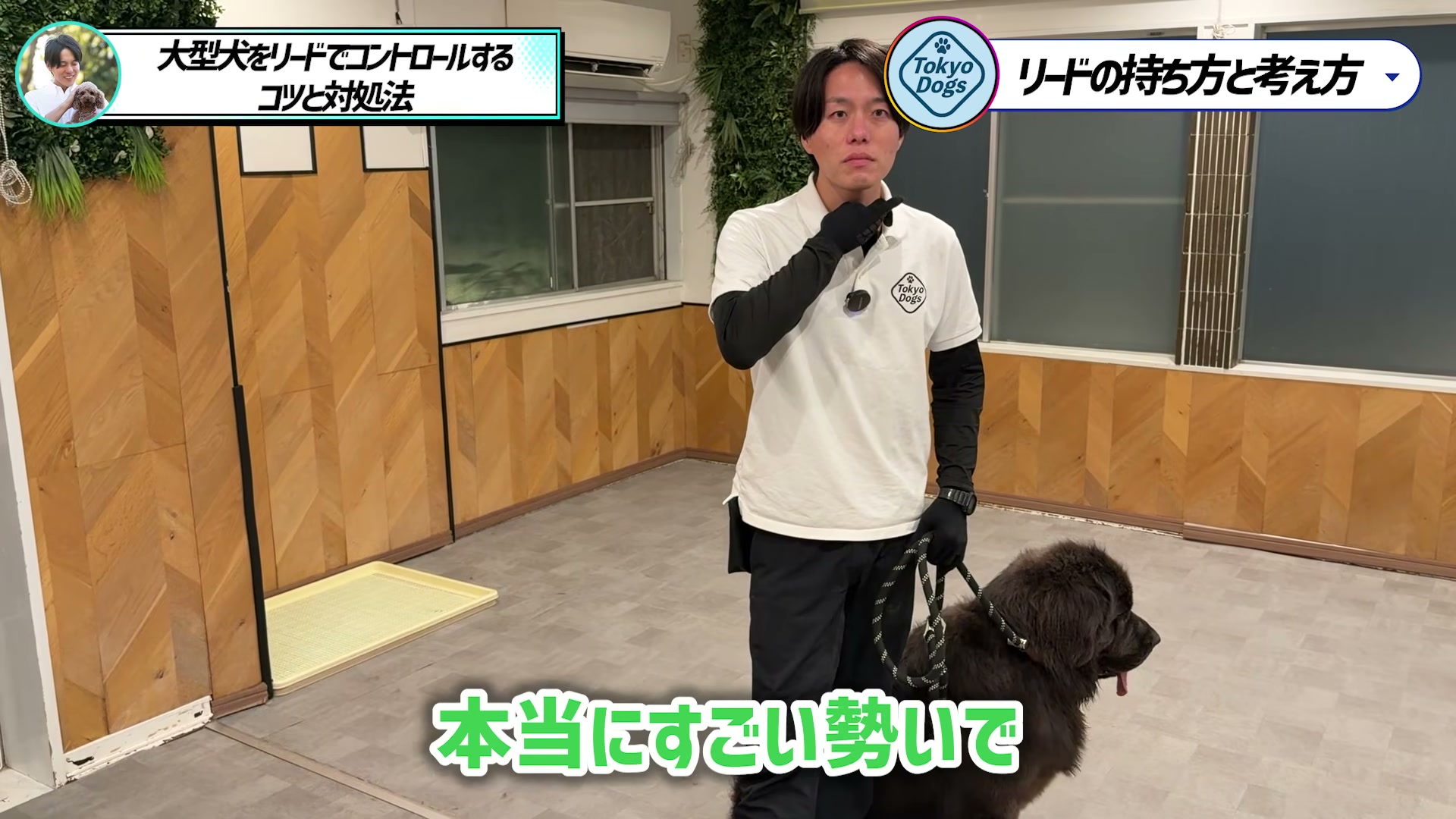 大型犬が強く引っ張る場面への備えを説明する松尾邑仁
