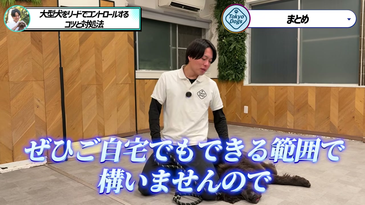 大型犬のそばで七日間の散歩練習を案内する松尾邑仁