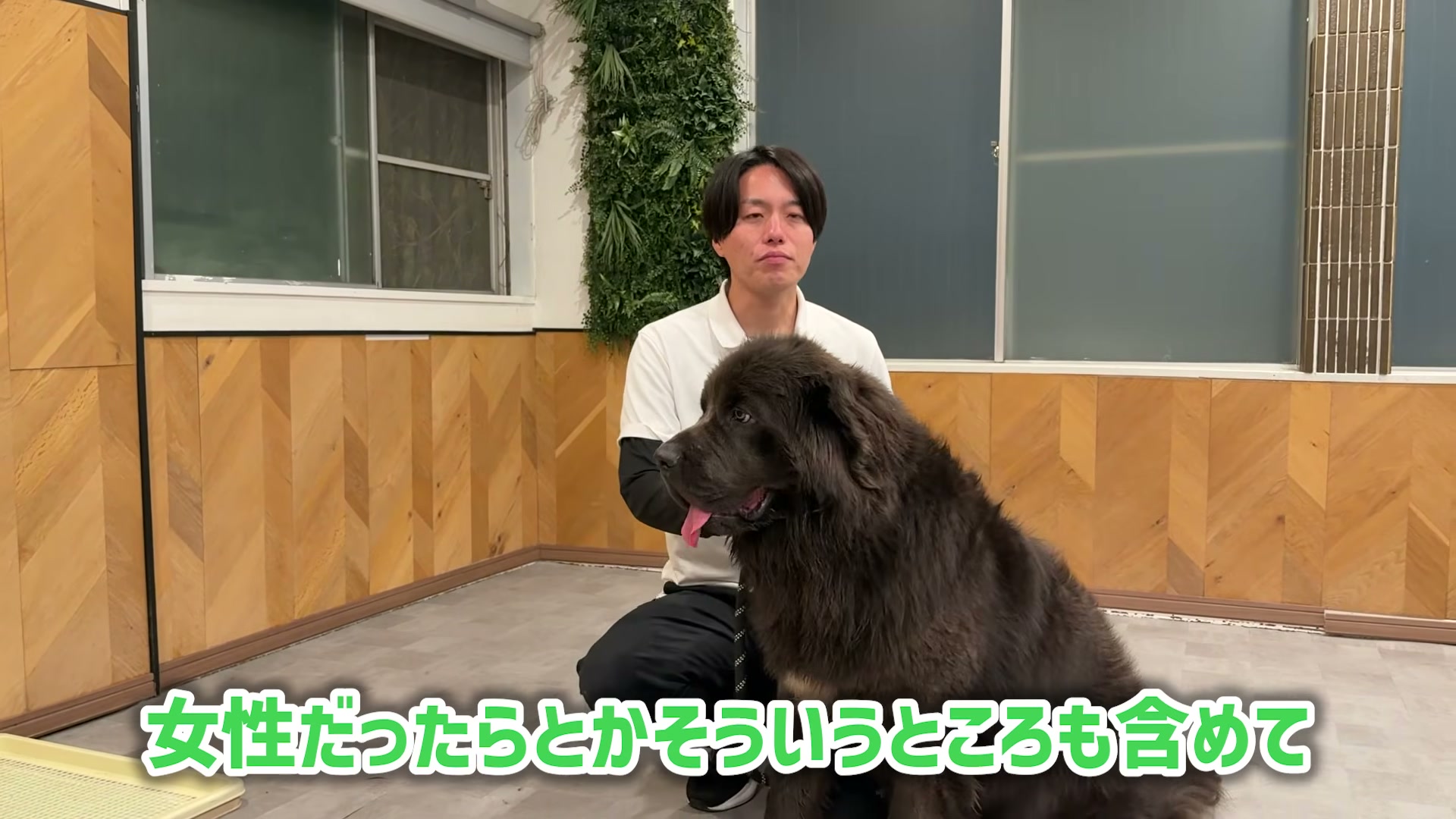 大型犬のそばで散歩する人による違いを説明する松尾邑仁