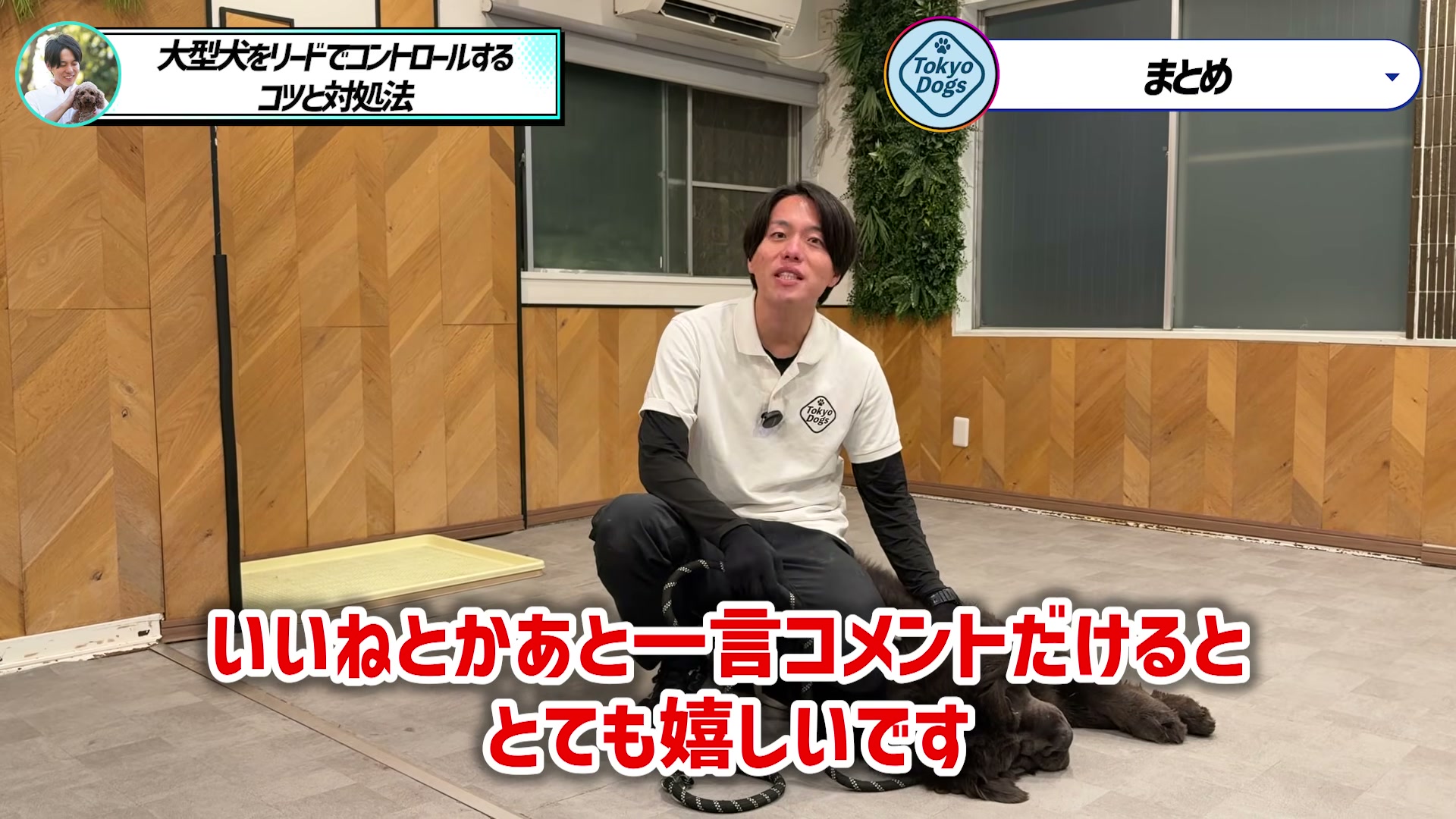大型犬のそばでリード操作の質問や感想を呼びかける松尾邑仁