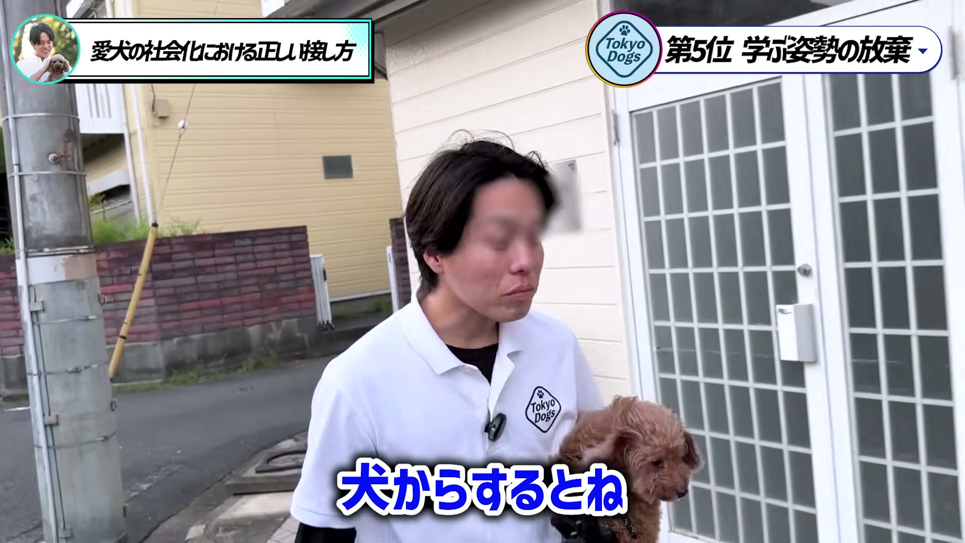 住宅街でトイプードルを抱き、犬の立場から人間社会の刺激を説明する松尾邑仁