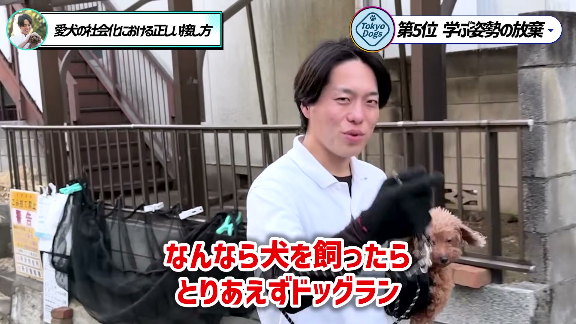 トイプードルを抱き、犬を迎えたらすぐドッグランへ行く考えの危険を話す松尾邑仁