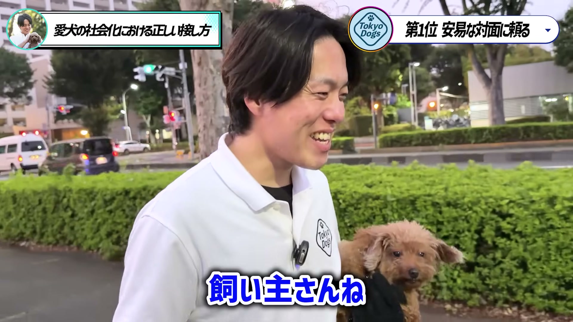 公園でトイプードルを抱き、飼い主が学び続ける大切さを説明する松尾邑仁
