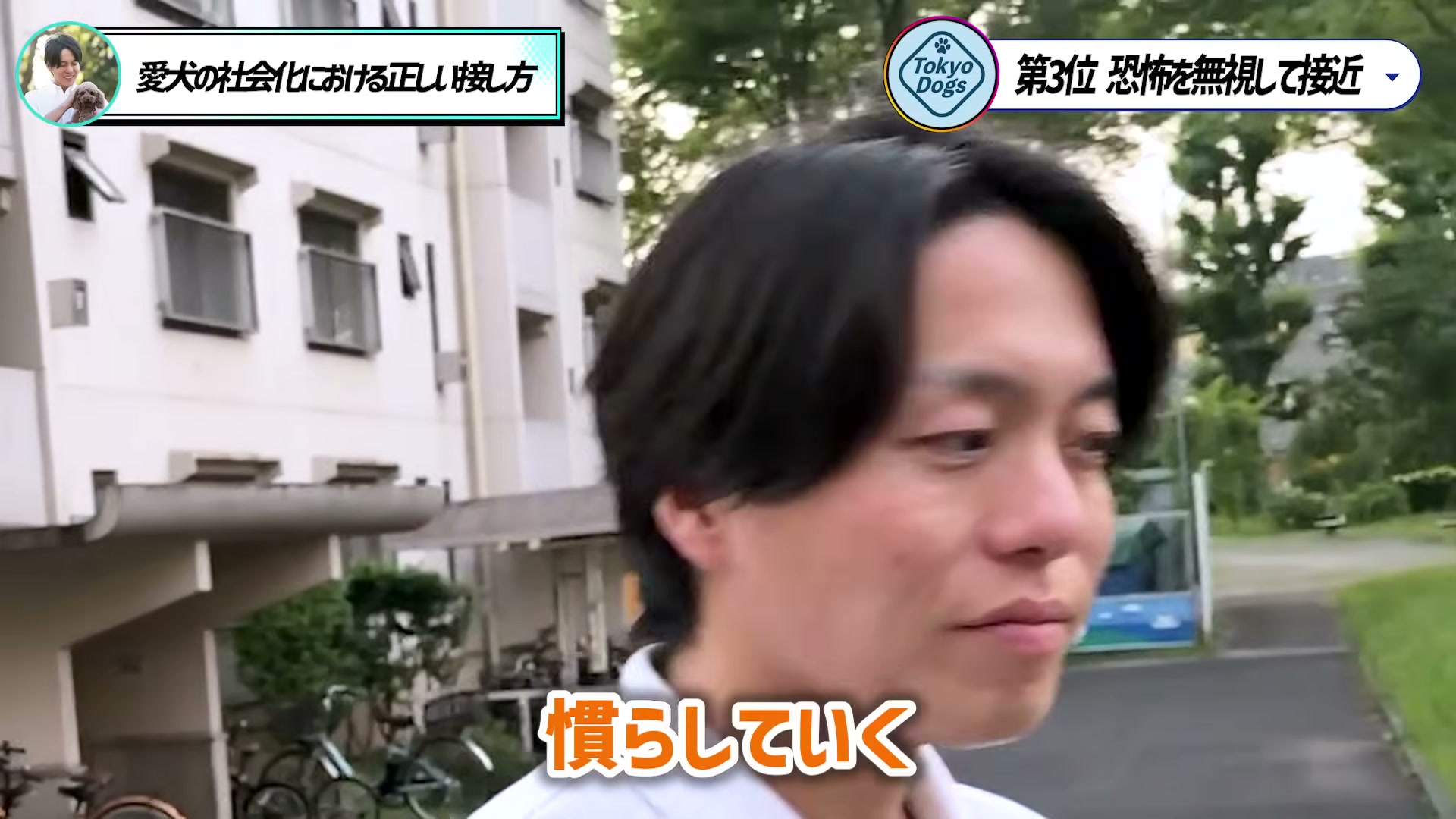 公園で、犬の感情には複数の要素と段階があると説明する松尾邑仁