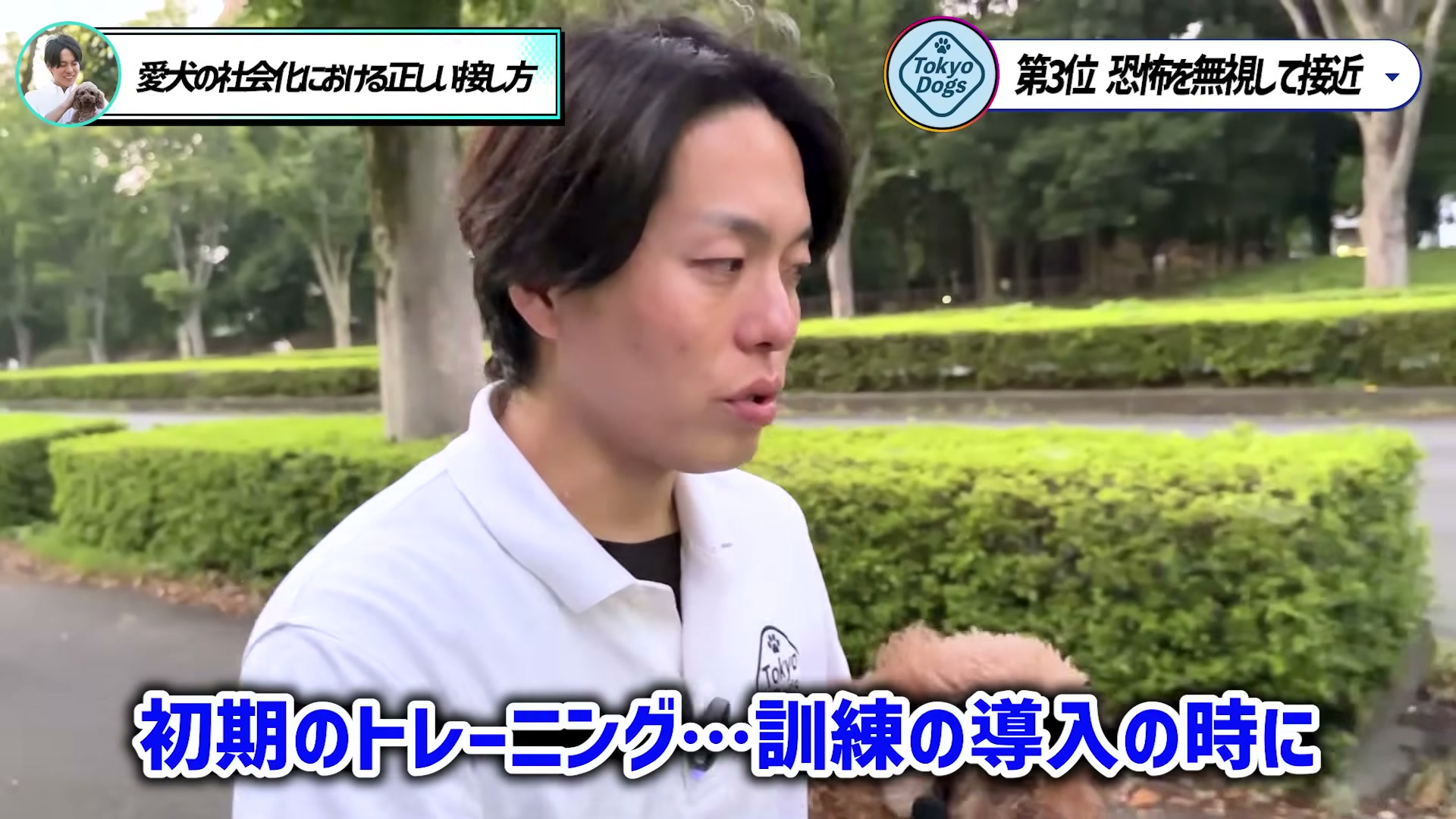 公園でトイプードルを抱き、首輪とリードへ慣らす例を説明する松尾邑仁