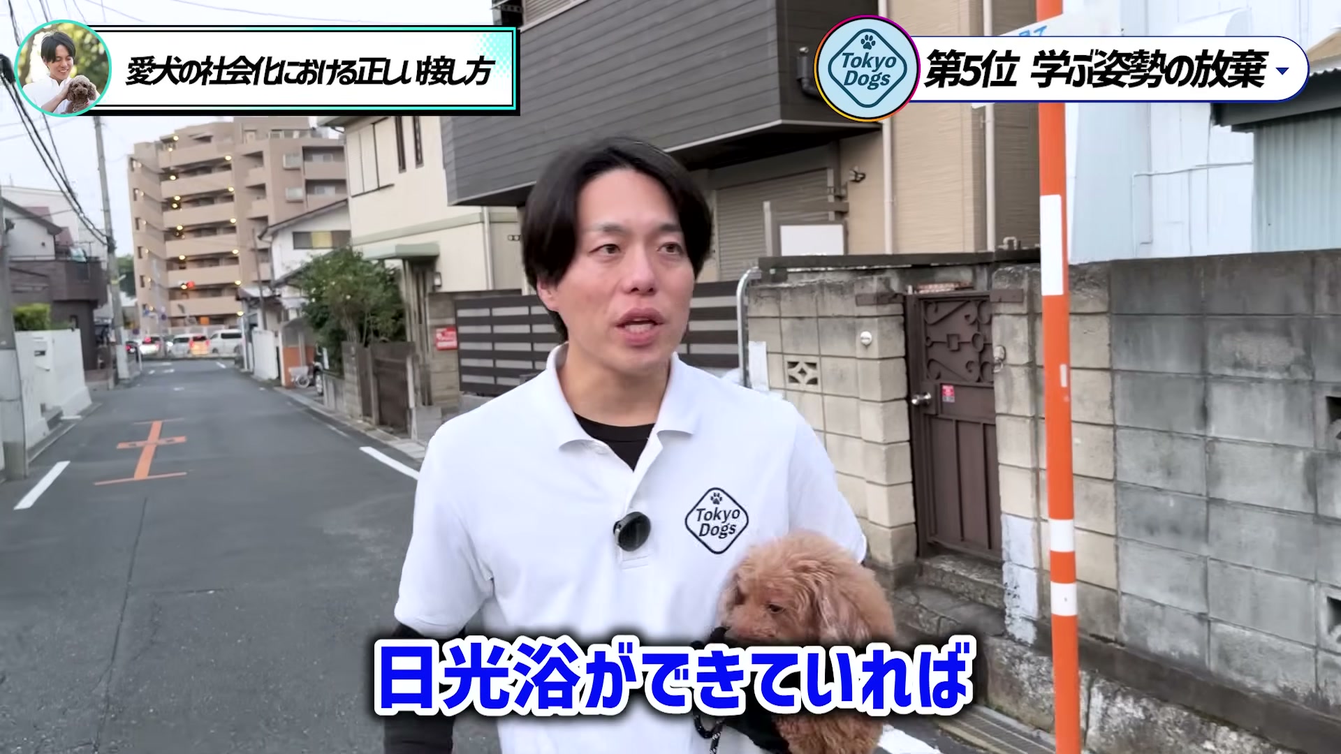 住宅街でトイプードルを抱き、日光浴など犬に合う小さな開始点を説明する松尾邑仁