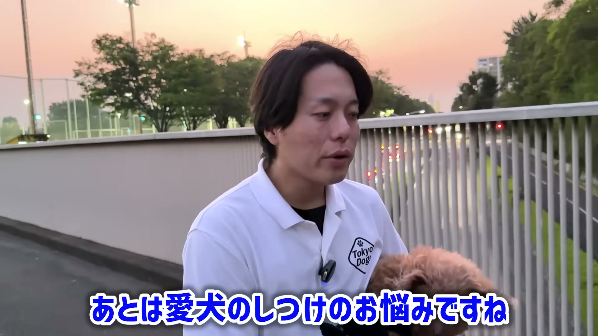 夕方の歩道橋でトイプードルを抱き、犬との暮らしの質問へ答える松尾邑仁