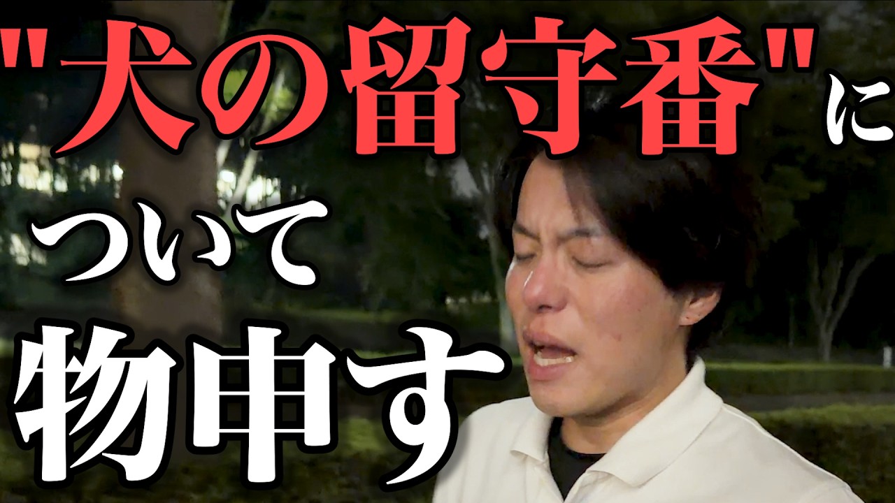 留守番を解説する東京DOGS動画のサムネイル