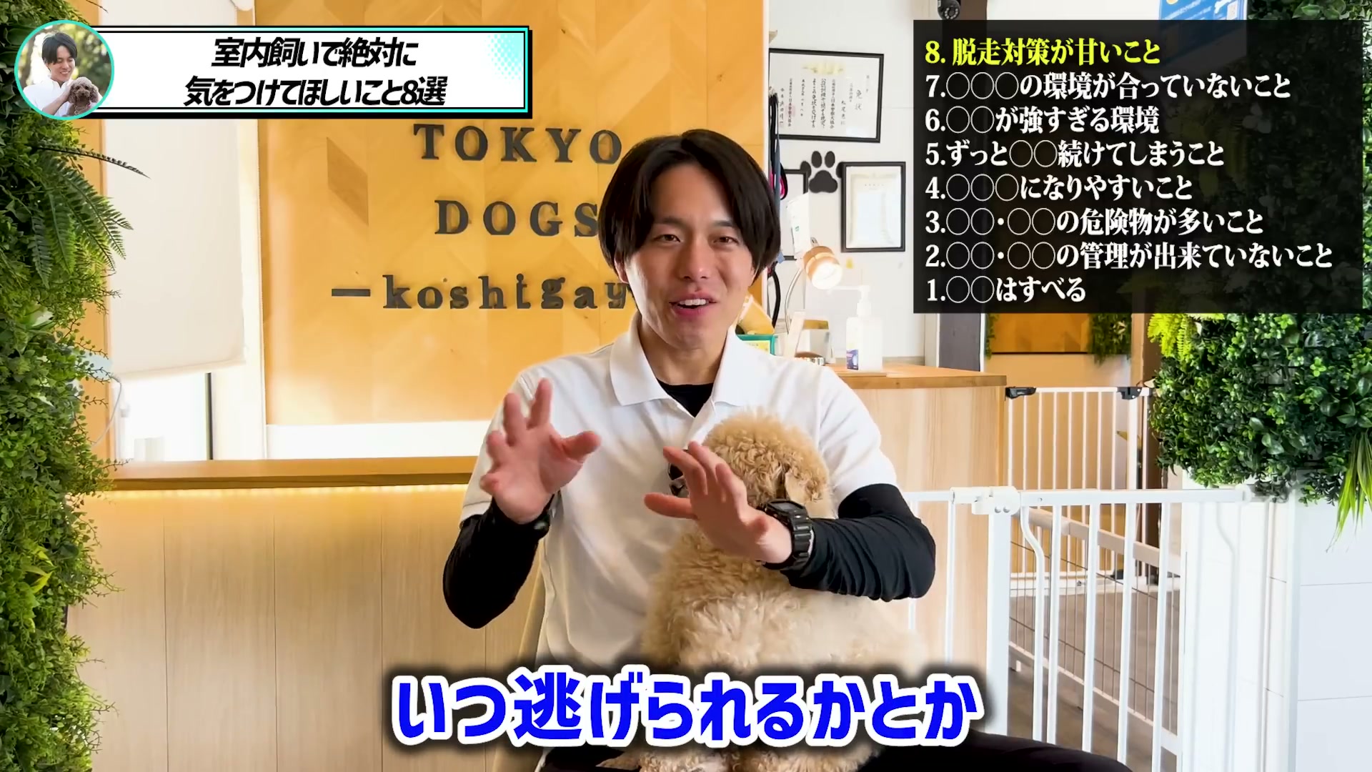 犬の脱走対策について解説する松尾邑仁