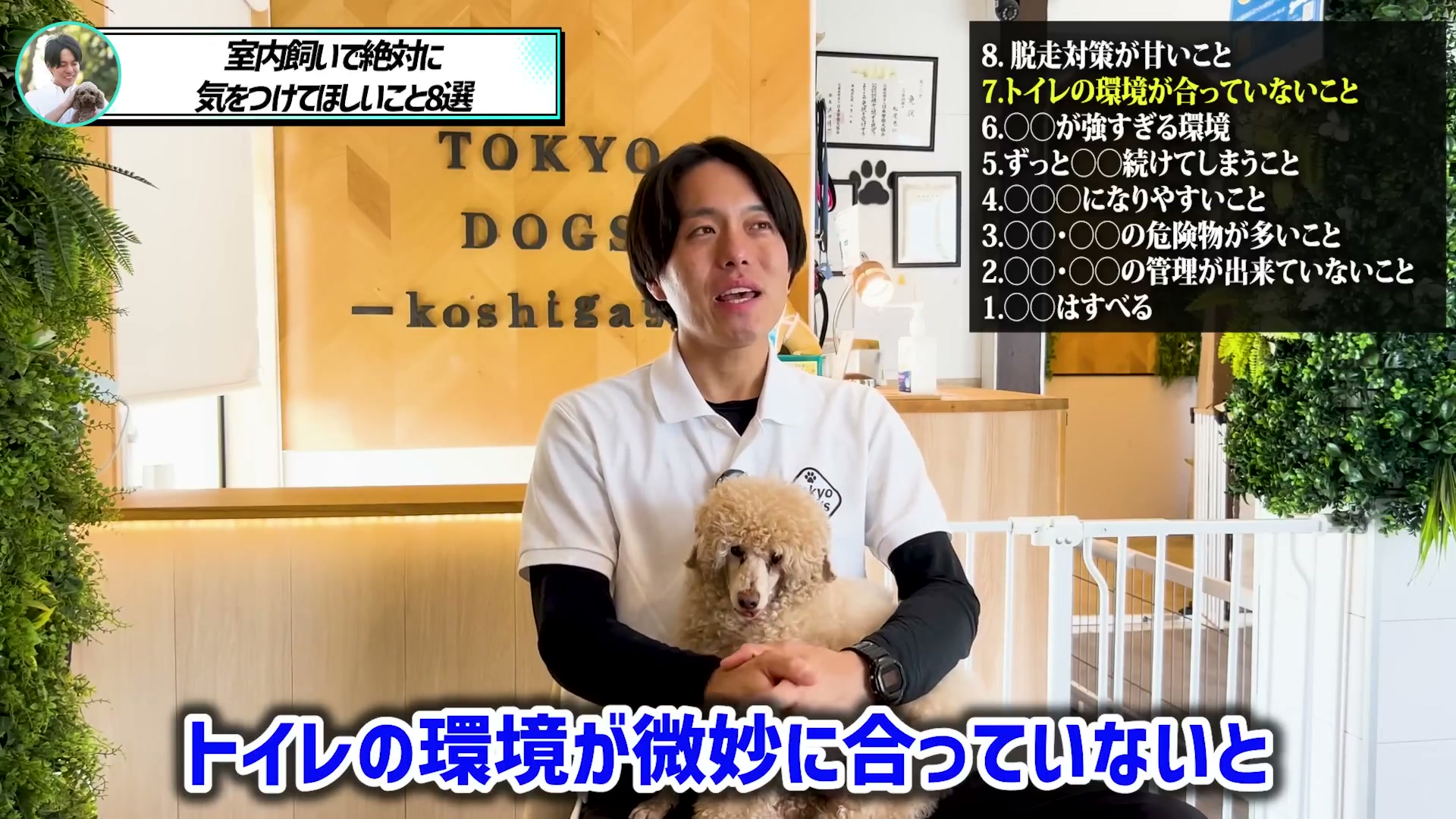 犬と住環境にトイレが合っているかを見直す解説場面