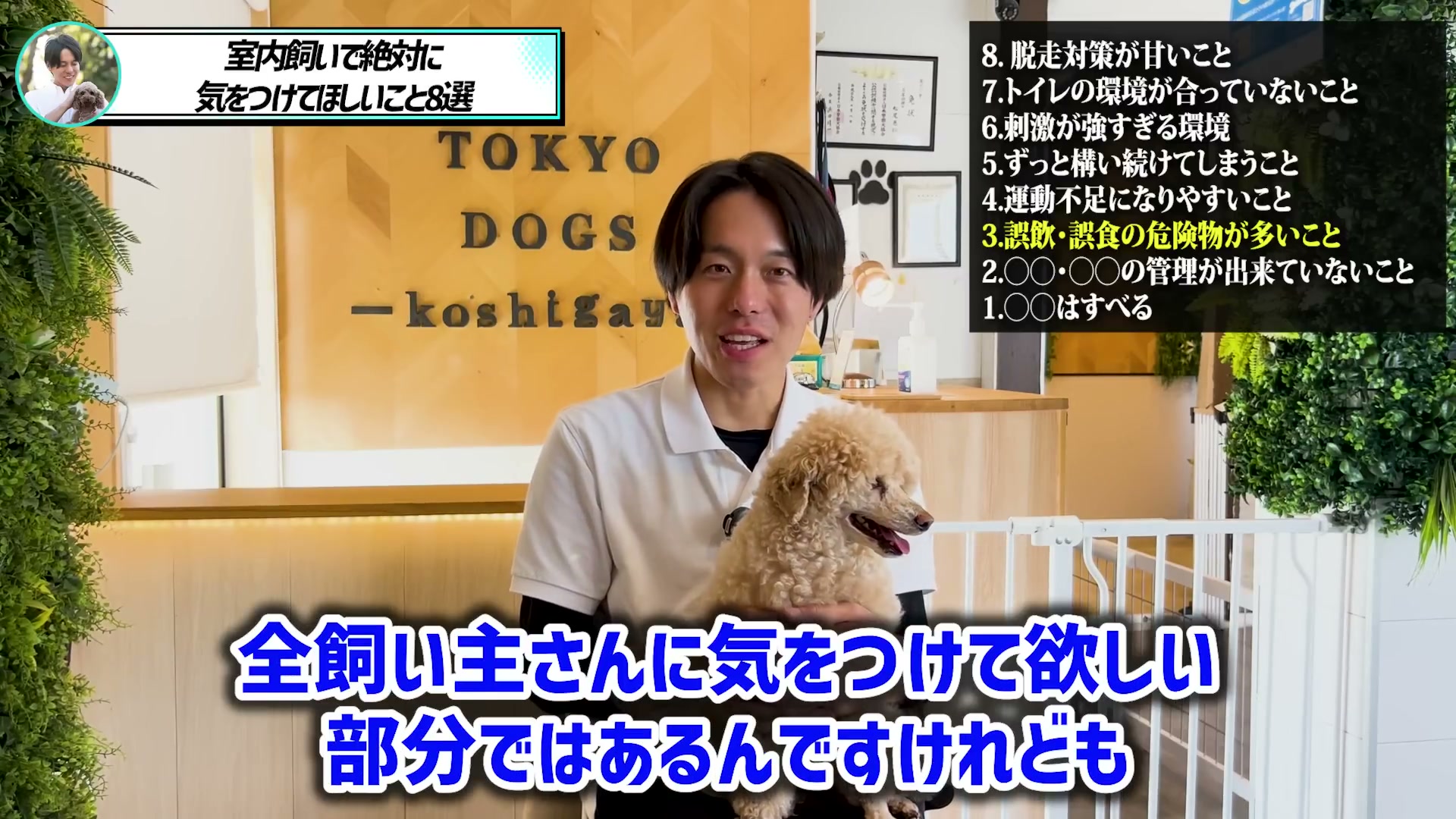 室内の誤飲と誤食の危険について解説する場面