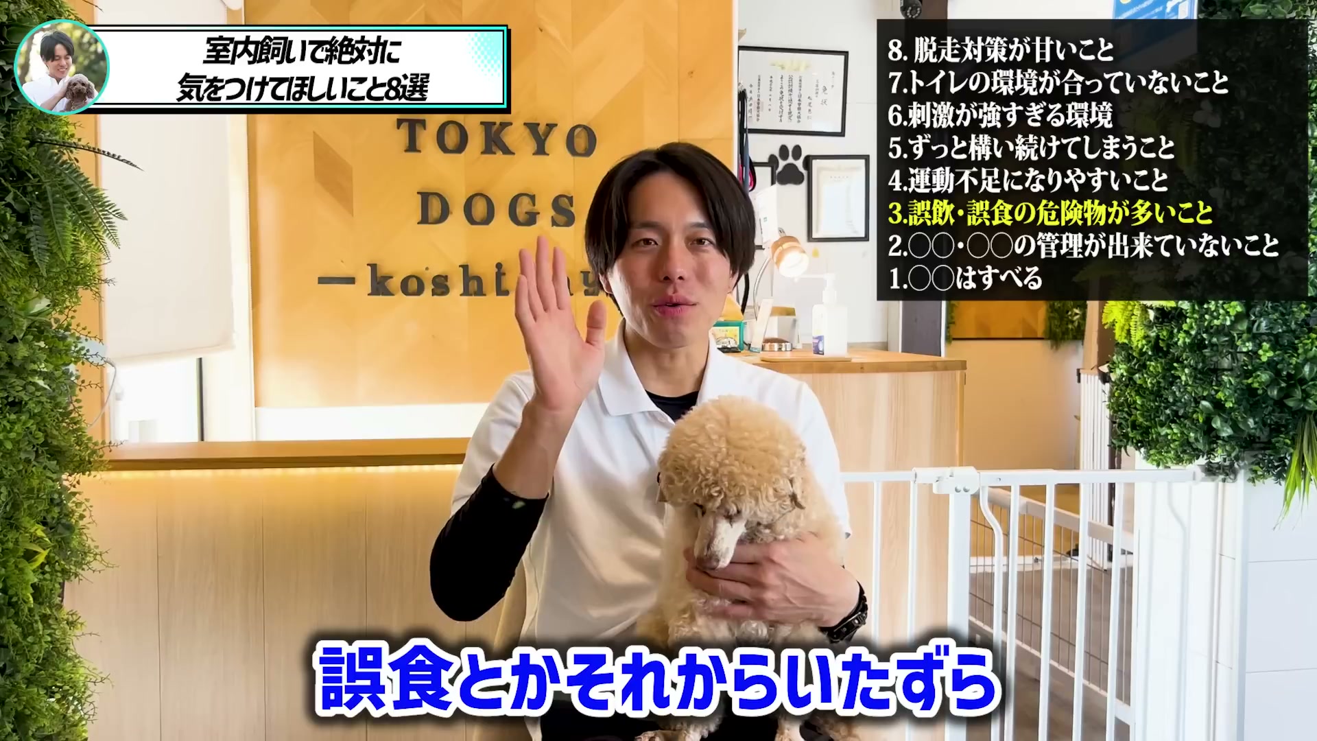 犬の誤食につながる室内の危険について話す松尾邑仁