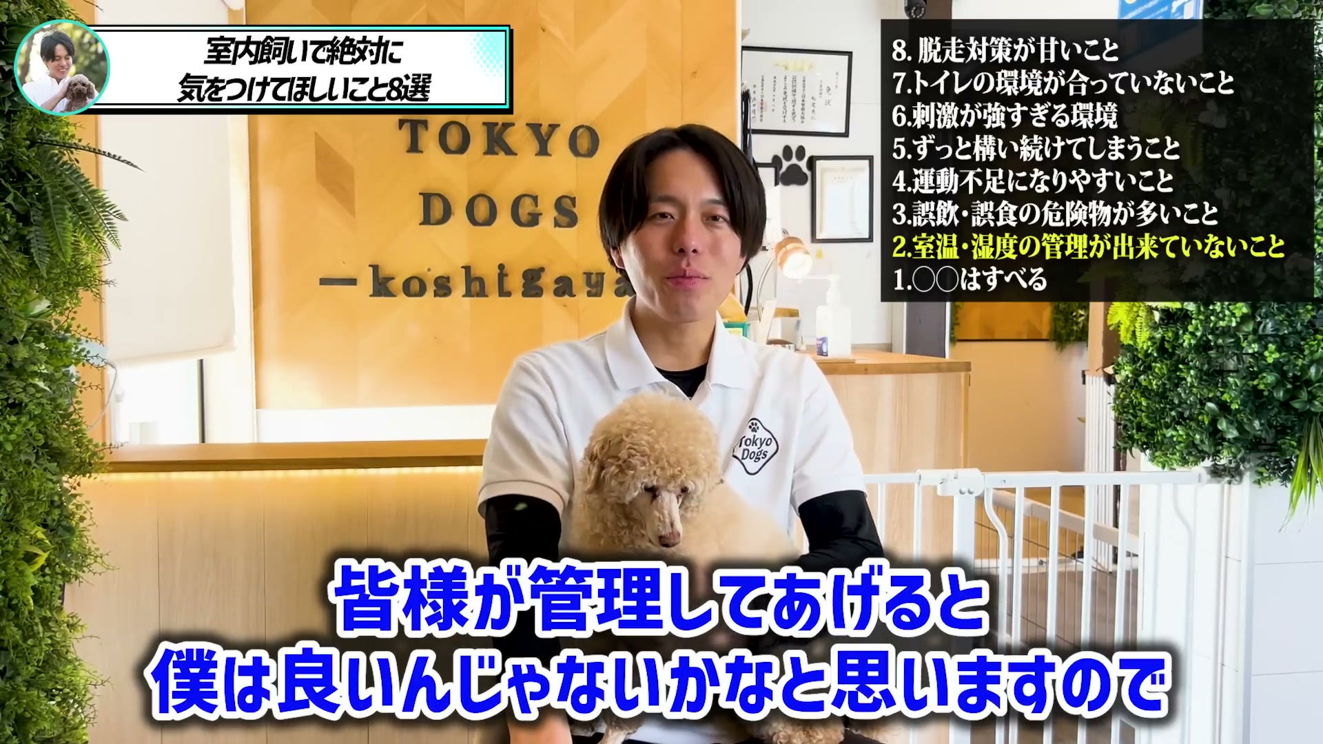 一年を通した犬の室温と湿度の管理を解説する場面