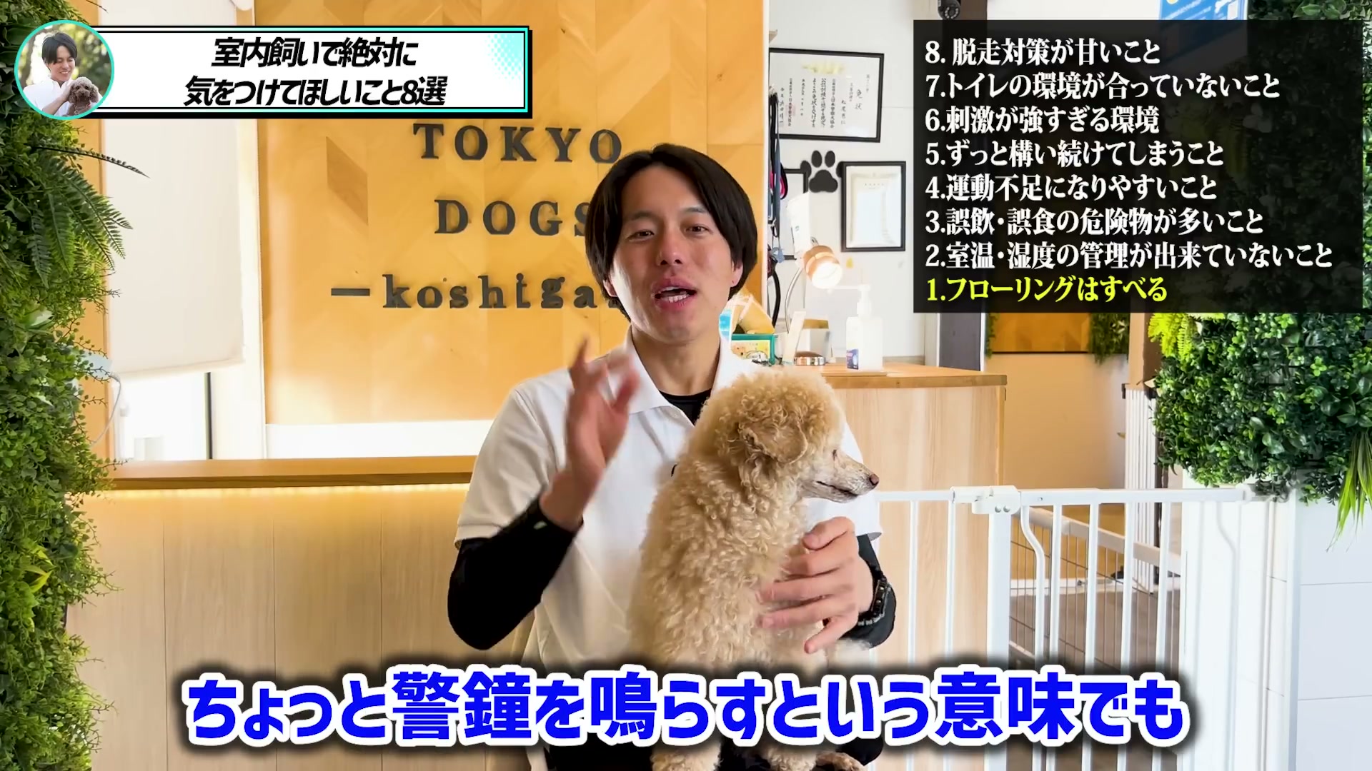 犬の足元の負担を見直すよう呼びかける場面
