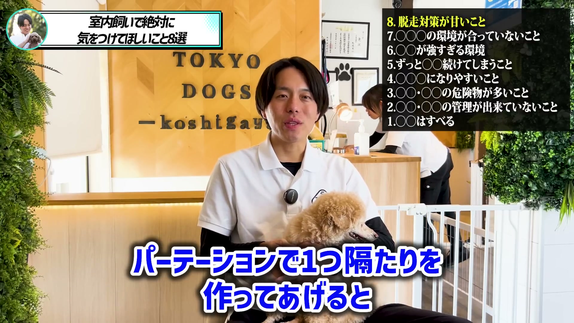 パーテーションで犬の脱走を防ぐ考え方を解説する場面
