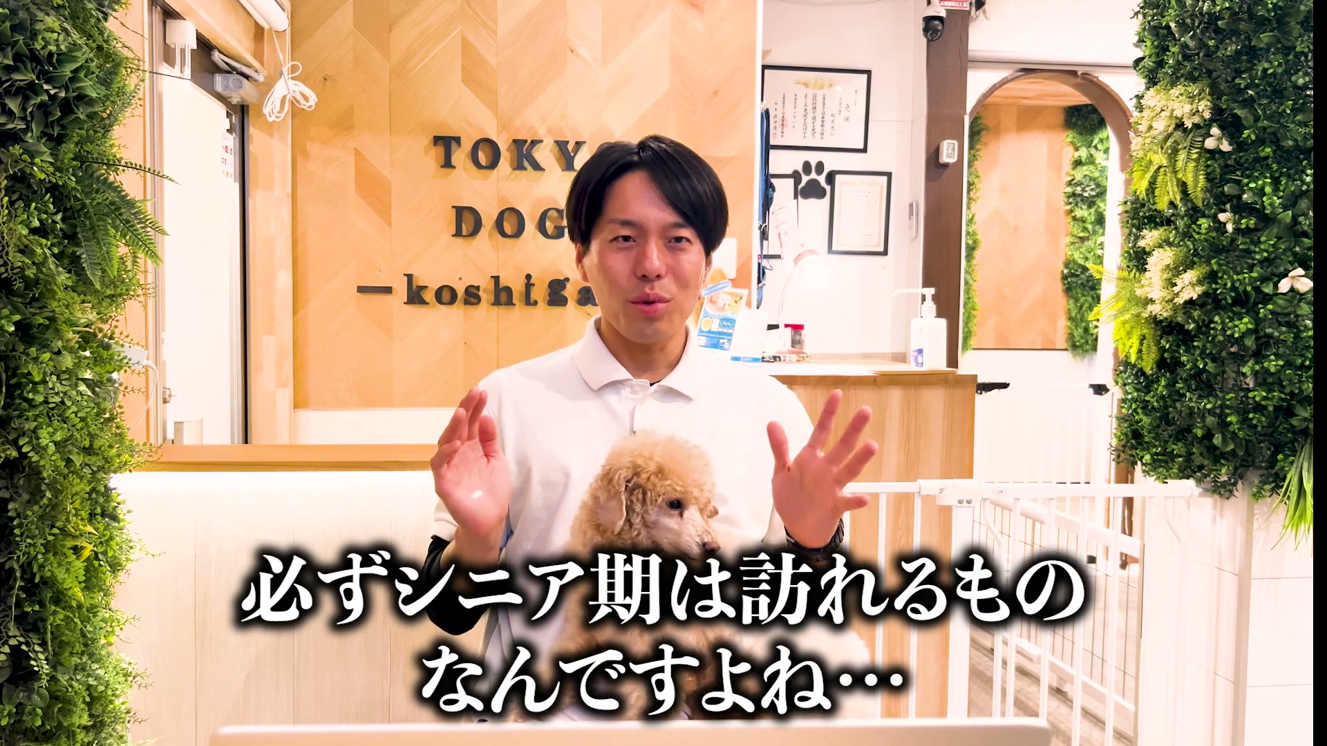 愛犬のシニア期を迎える心構えについて話す松尾邑仁