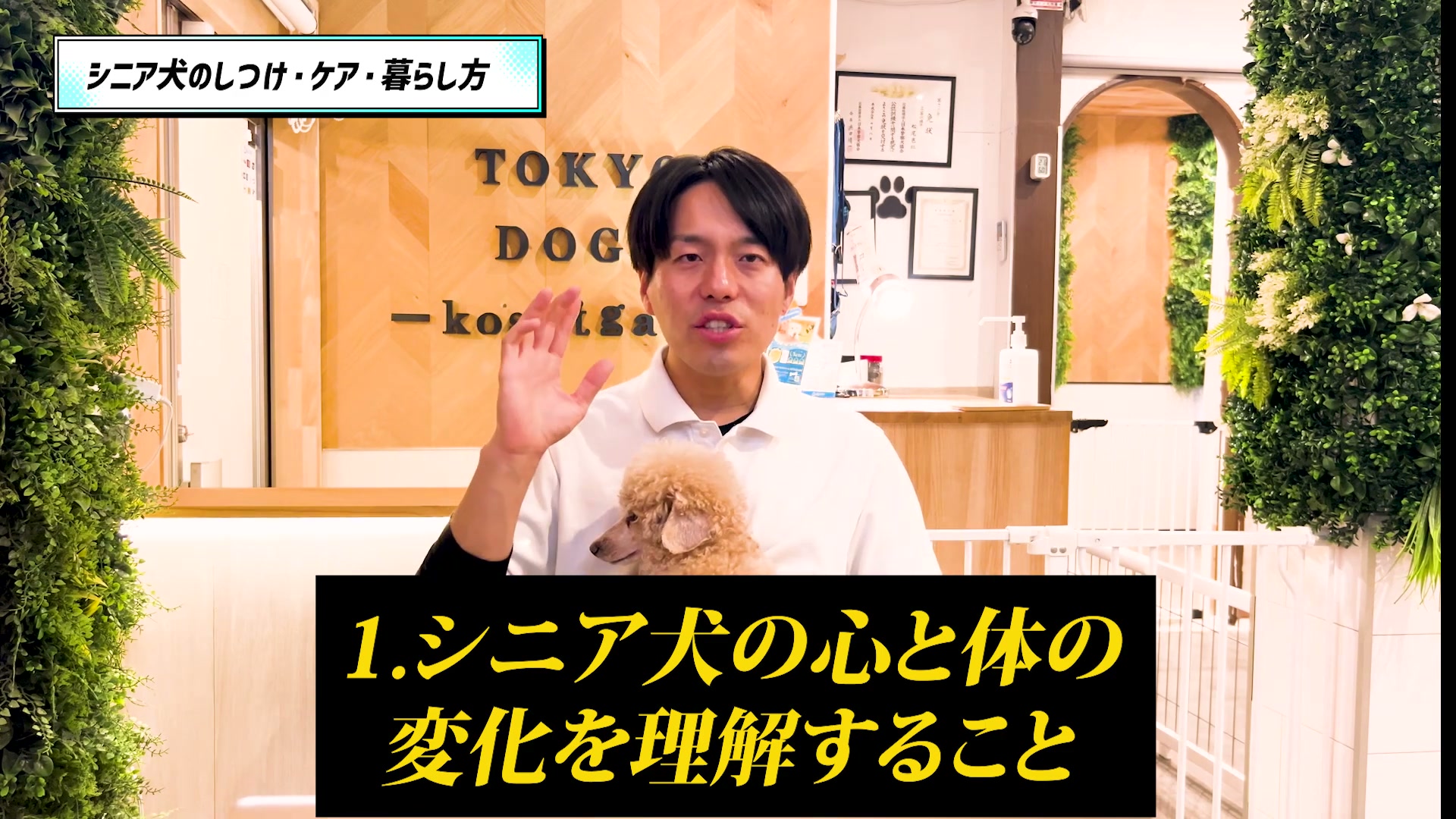 シニア犬の心と体の変化を理解するテーマを紹介する松尾邑仁