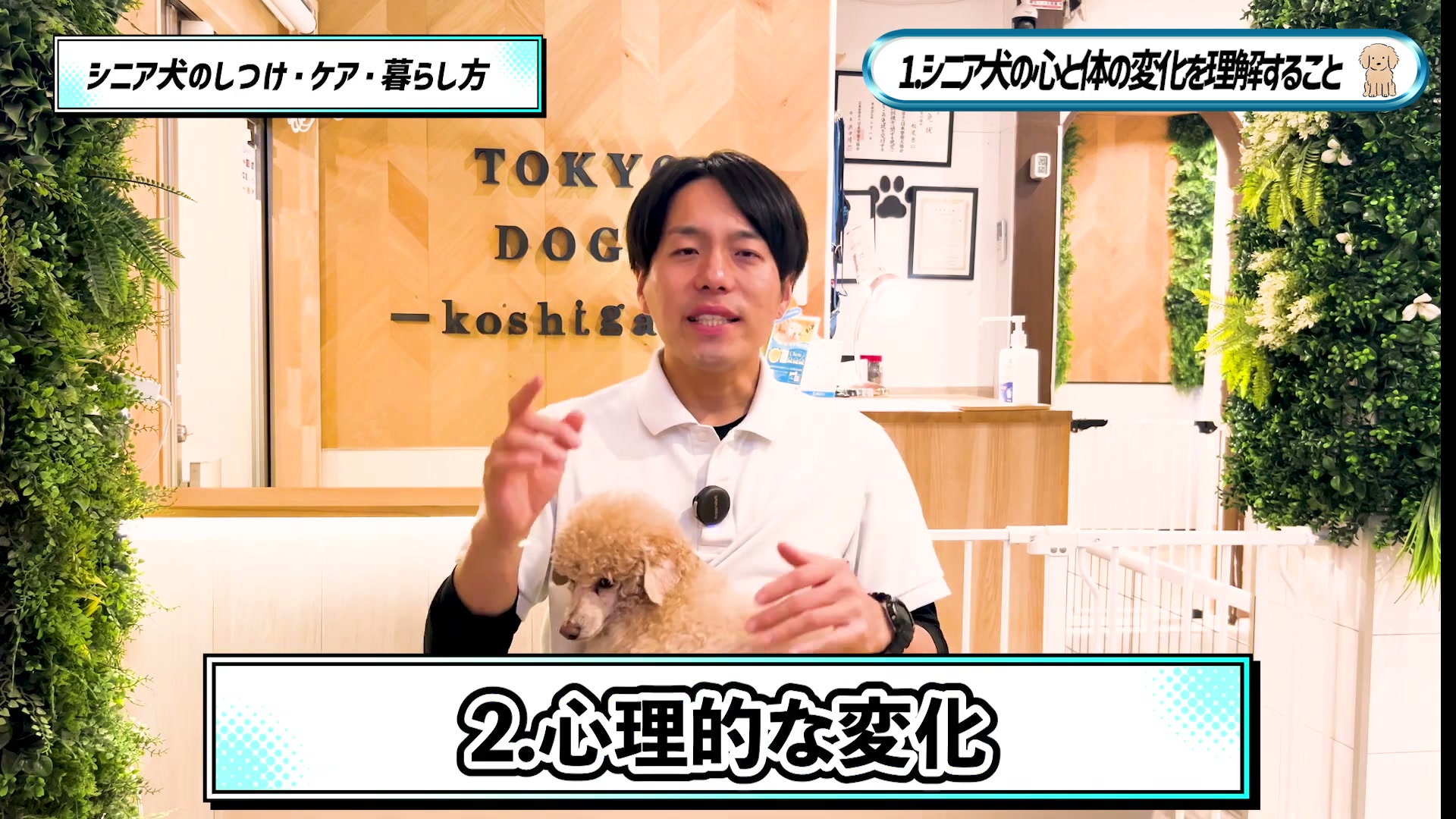 シニア犬の心理的な変化について話す松尾邑仁