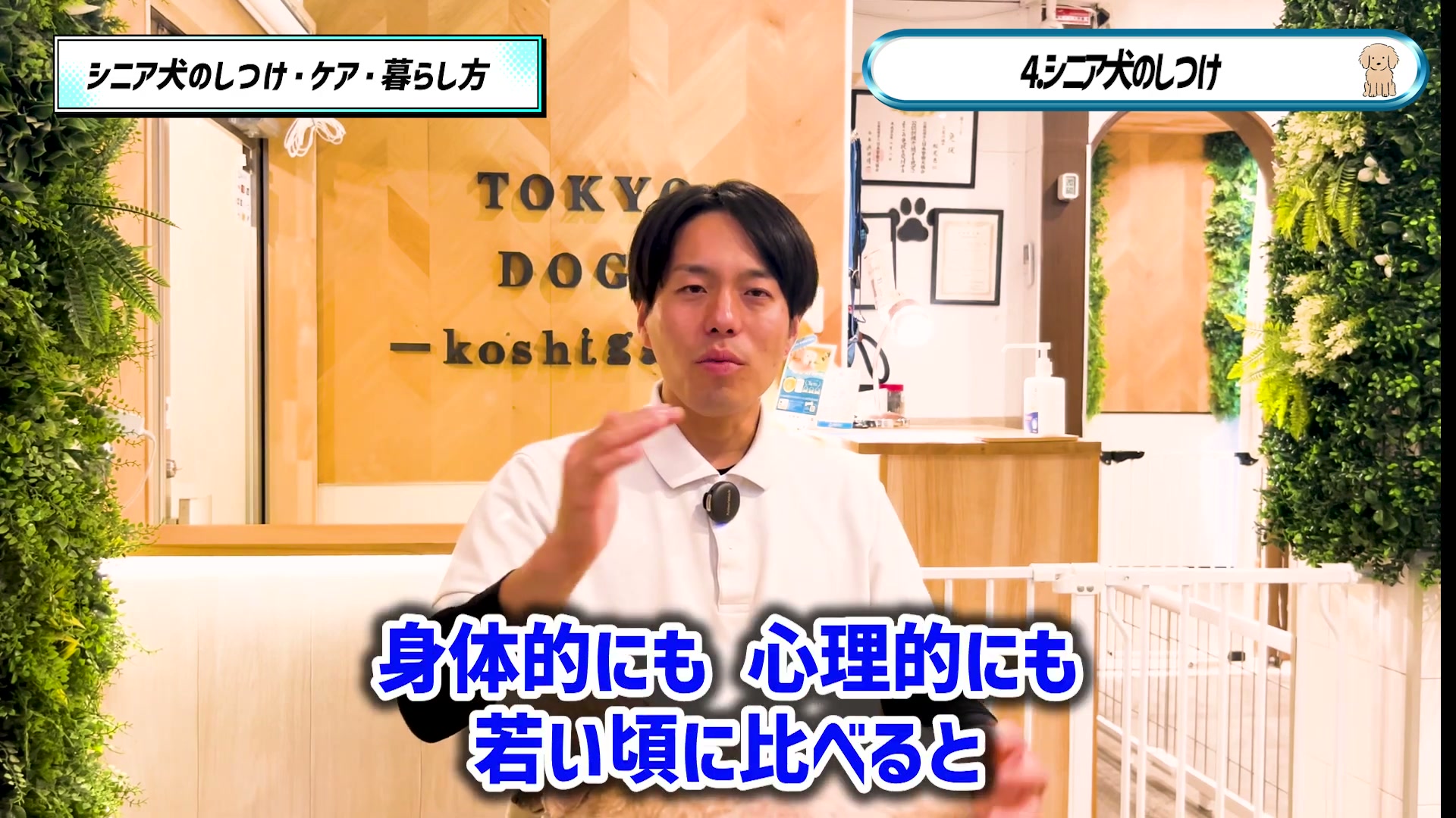 シニア犬の体と気持ちに合わせたしつけについて話す松尾邑仁