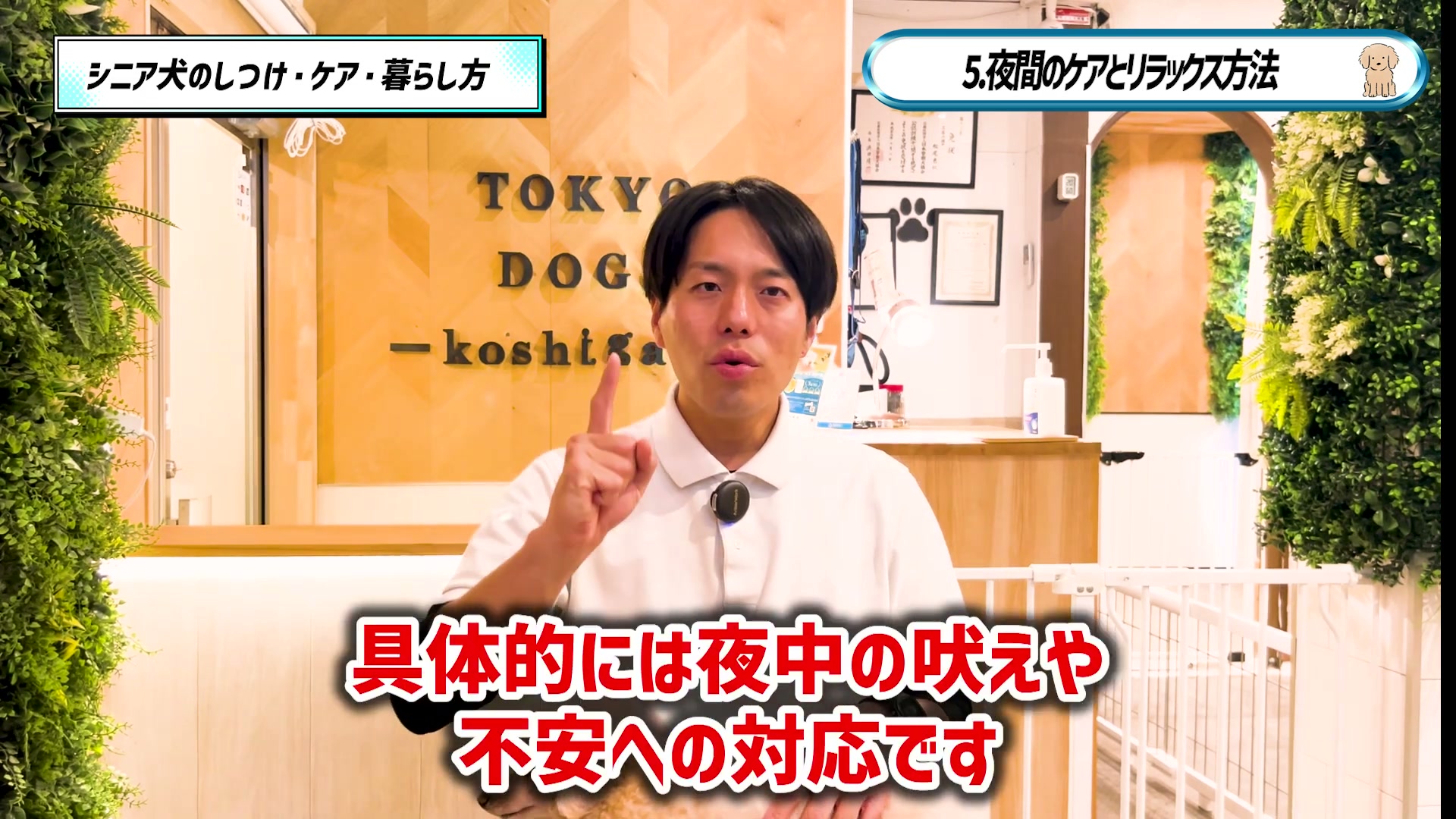 夜中の吠えや不安への対応について話す松尾邑仁
