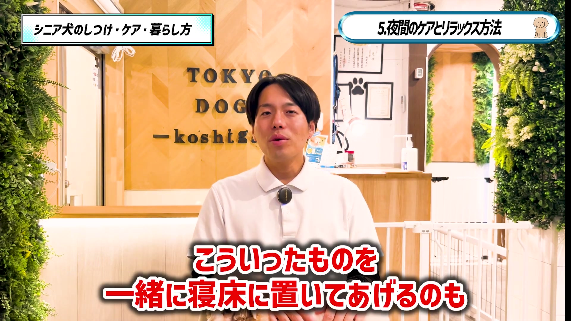 安心できる匂いを寝床の近くに置く工夫について話す松尾邑仁
