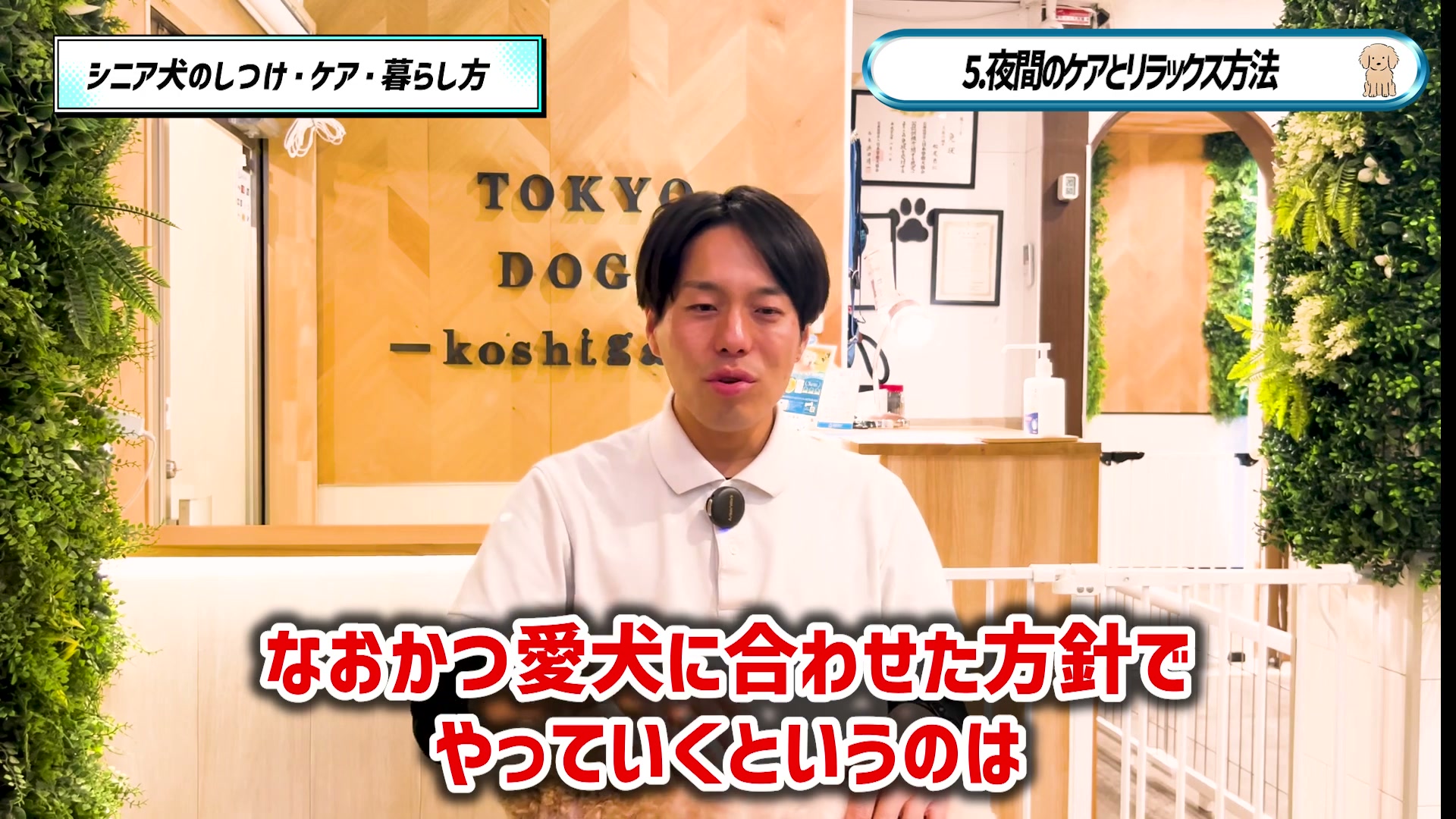 愛犬に合わせた夜間のケアの方針について話す松尾邑仁