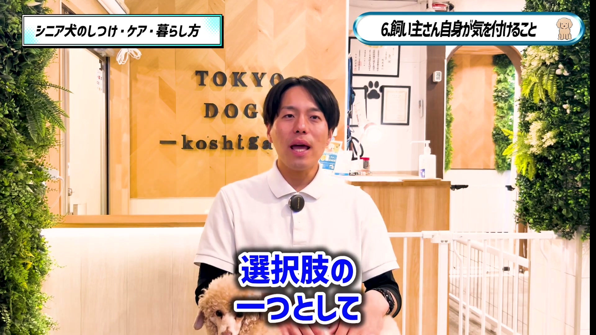 介護する飼い主が利用できる選択肢について話す松尾邑仁