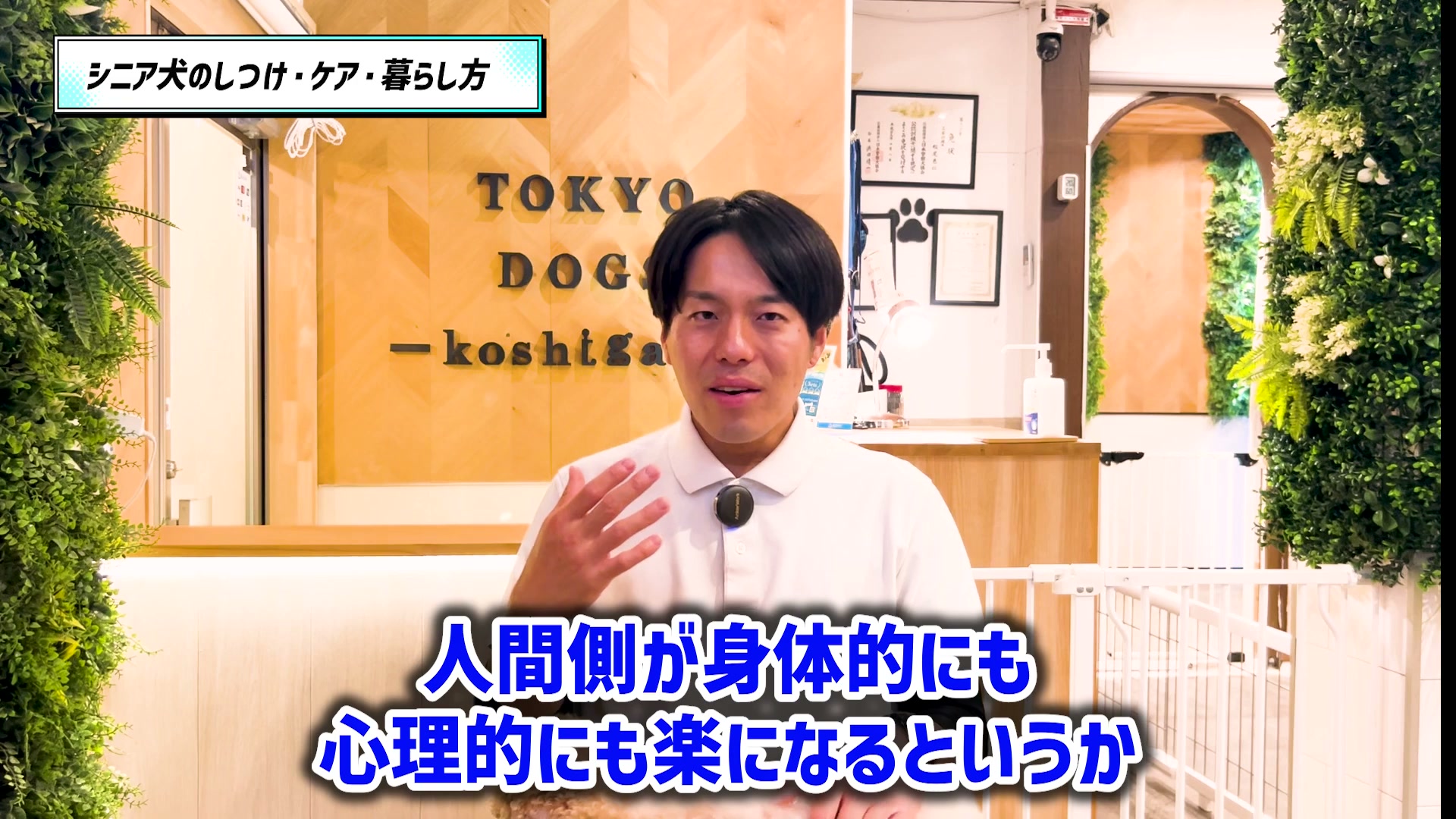 犬と飼い主が暮らしやすくなる工夫を振り返る松尾邑仁