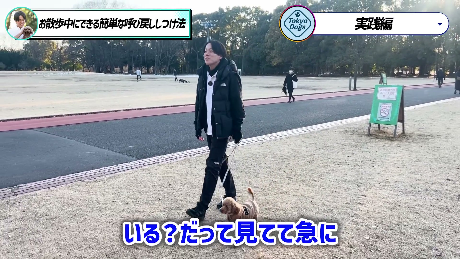 リードを持って犬と散歩する一つの場面