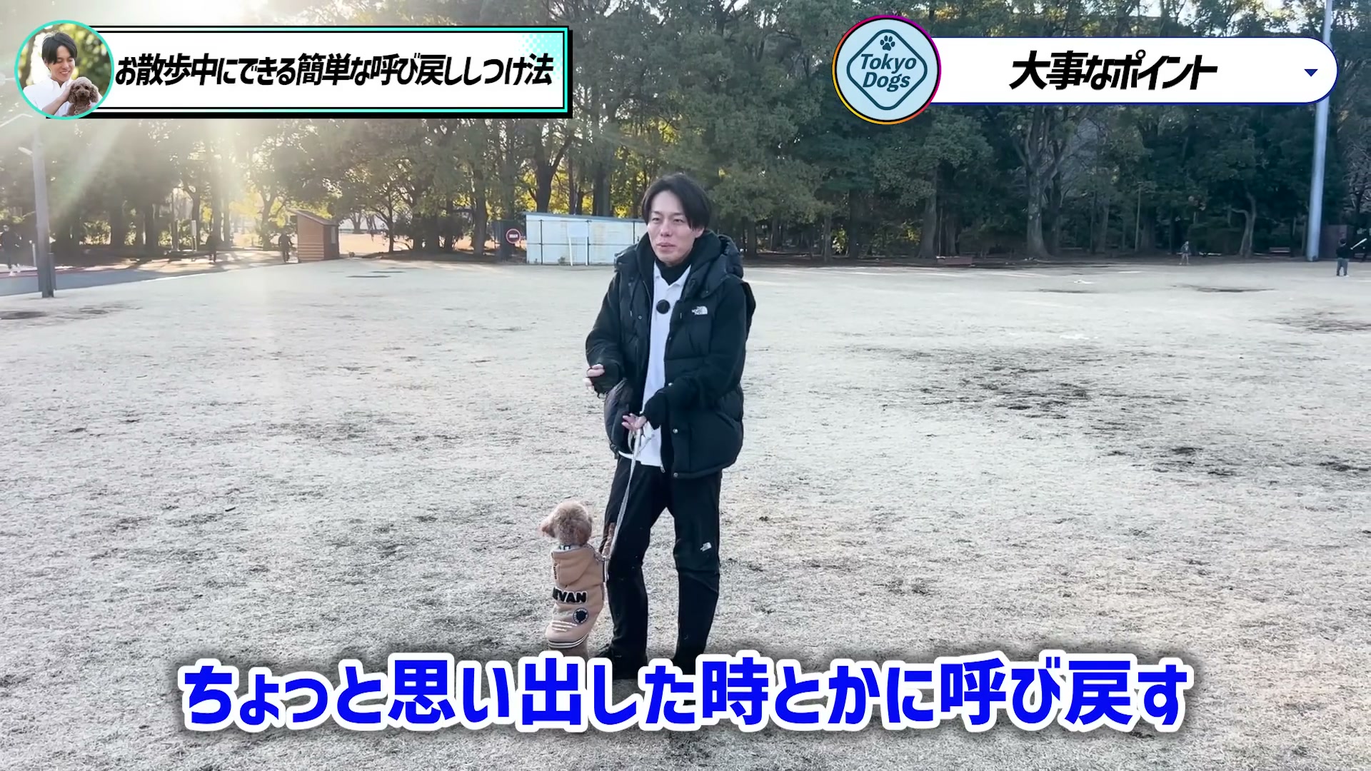 散歩の中に呼び戻しの練習を入れる考え方を話す松尾邑仁