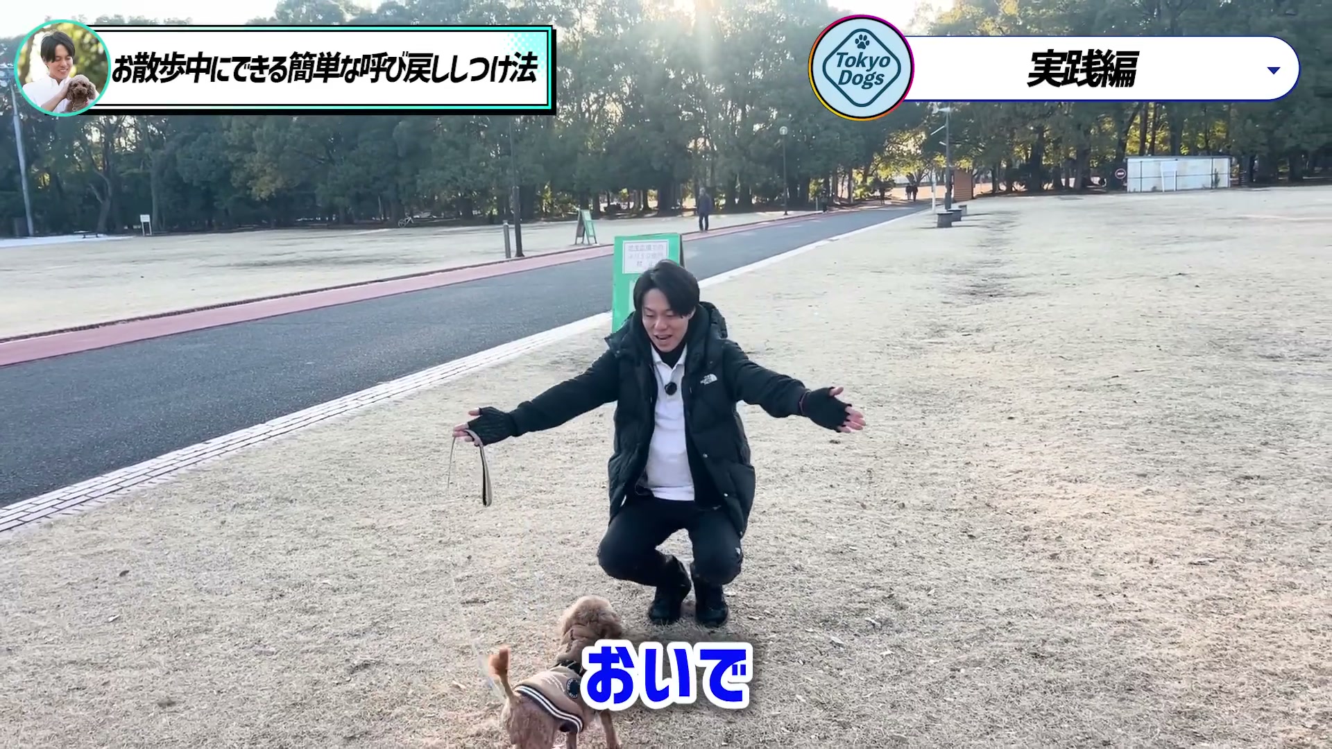 リードをつけた犬へおいでと声をかける練習