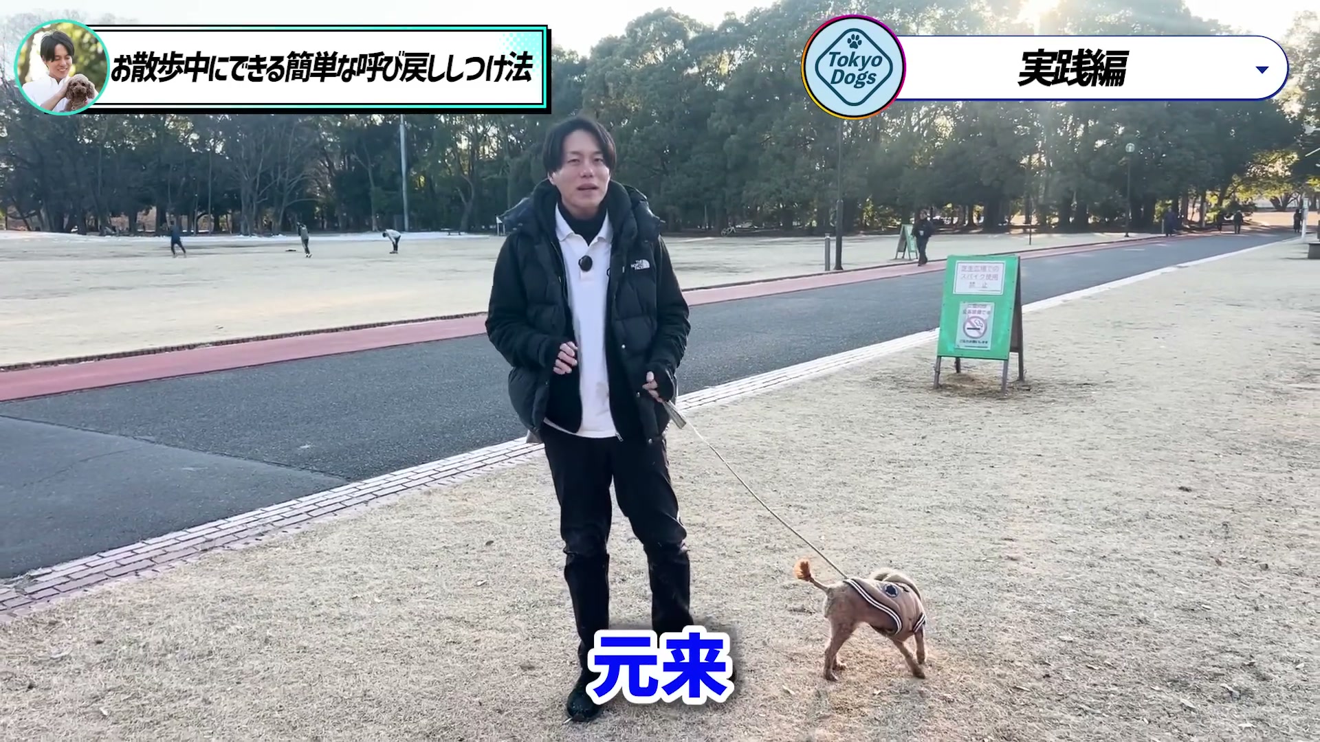 人の動きを使って犬を近くへ誘導する一つの場面