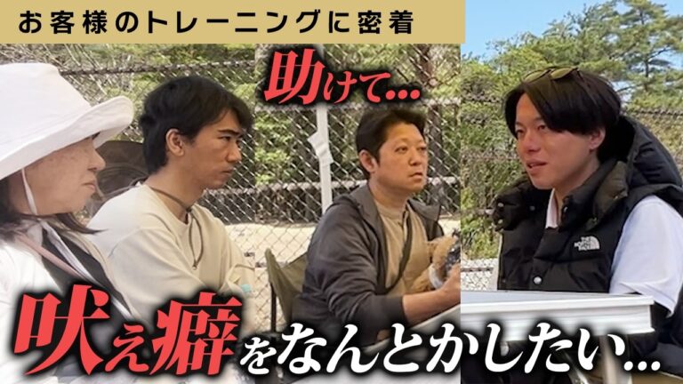 多頭飼いのマーキング・吠え・留守番｜警察犬ドッグトレーナーが解説