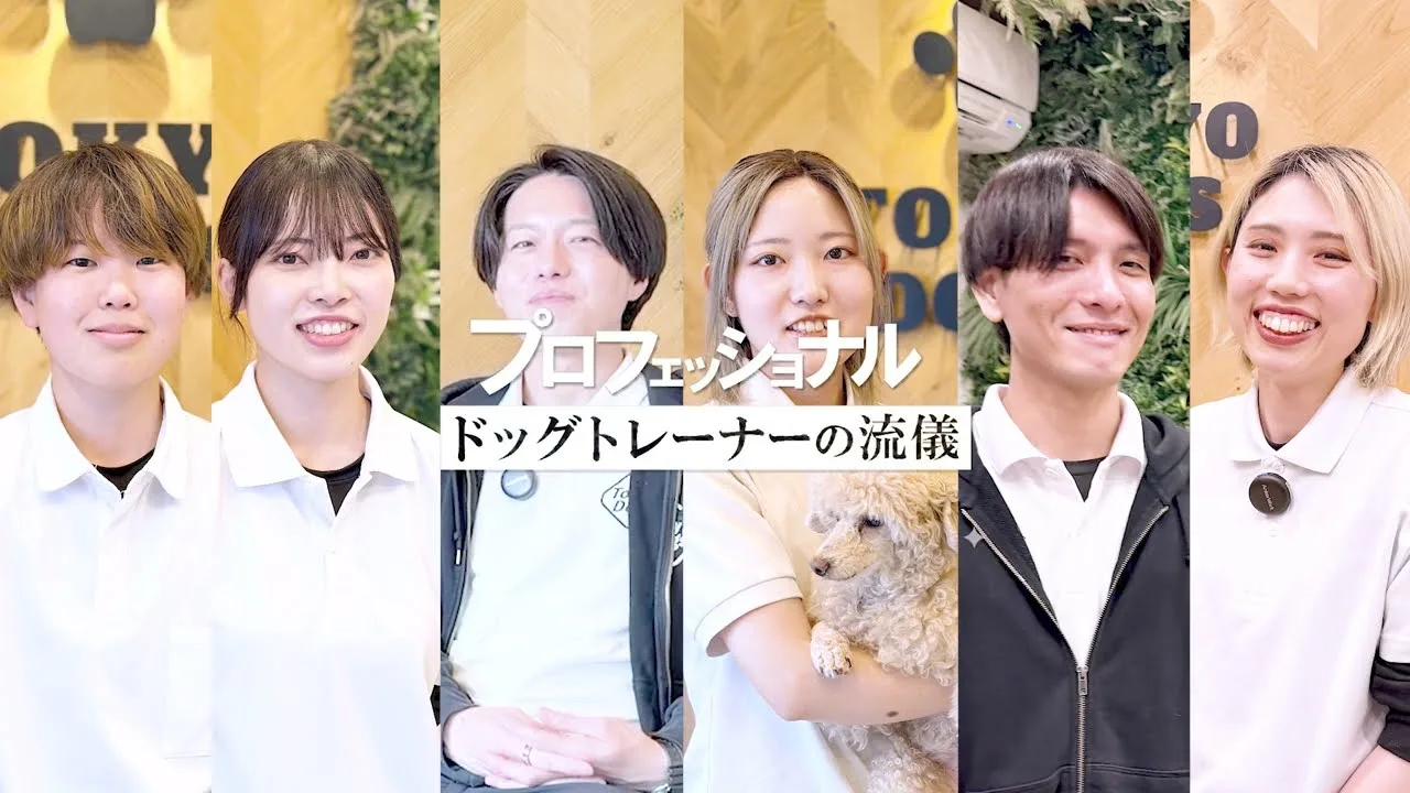 スタッフ紹介