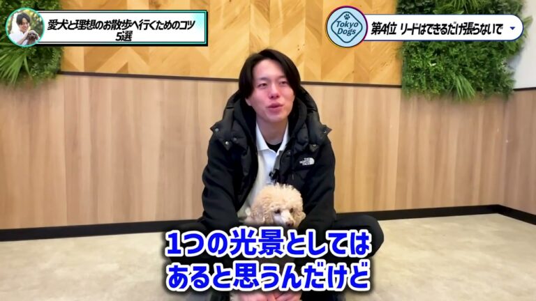 犬の散歩時間は何分？警察犬ドッグトレーナーが体調に合わせた見直し方を解説