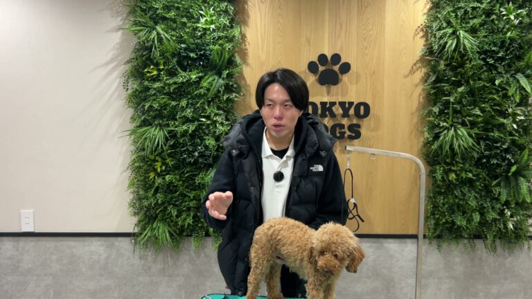 爪切りを嫌がる犬の慣らし方｜警察犬ドッグトレーナーが準備と中止の目安を解説