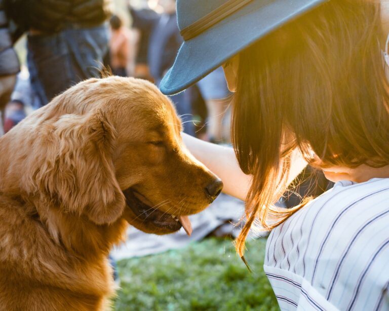 犬と子どもが暮らす家庭のルール｜警察犬ドッグトレーナーが安全な見守りを解説